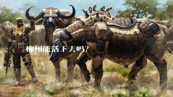 柳州能活下去吗？