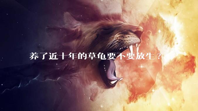 养了近十年的草龟要不要放生?