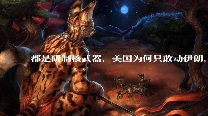 都是研制核武器，美国为何只敢动伊朗，对朝鲜却畏首畏尾？