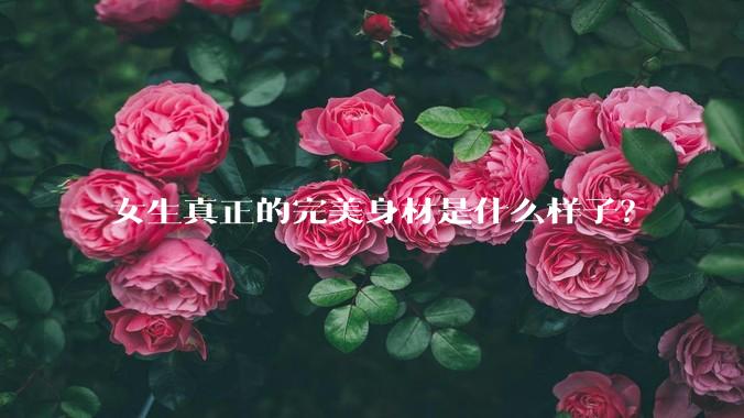女生真正的完美身材是什么样子？