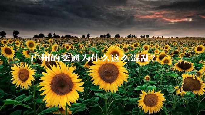 广州的交通为什么这么混乱？