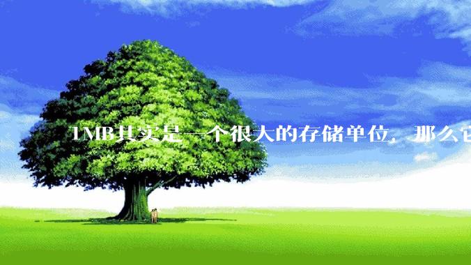 1MB其实是一个很大的存储单位，那么它的存储容量究竟有多大？