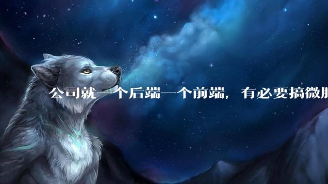 公司就一个后端一个前端，有必要搞微服务吗？