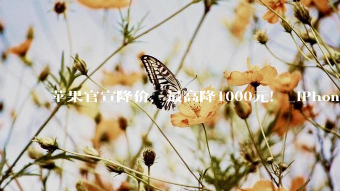 苹果官宣降价，最高降1000元！_iPhone_中国_系列