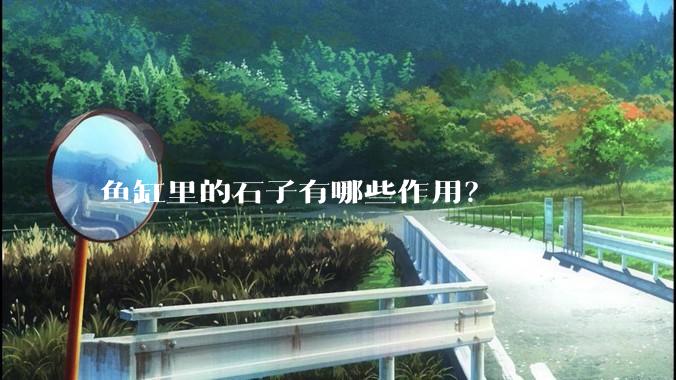 鱼缸里的石子有哪些作用？