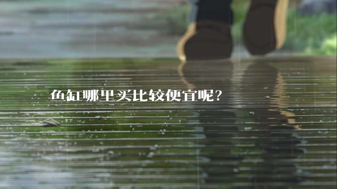 鱼缸哪里买比较便宜呢？