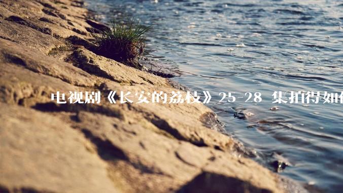 电视剧《长安的荔枝》25-28 集拍得如何？有哪些值得关注的剧情点？