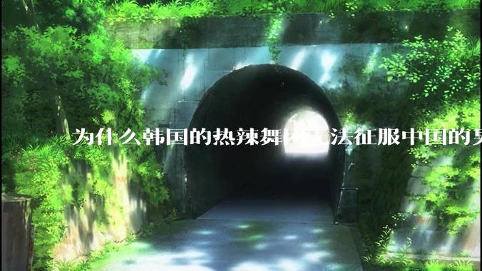 为什么韩国的热辣舞团无法征服中国的男性市场？？