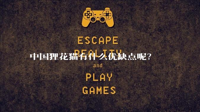 中国狸花猫有什么优缺点呢？