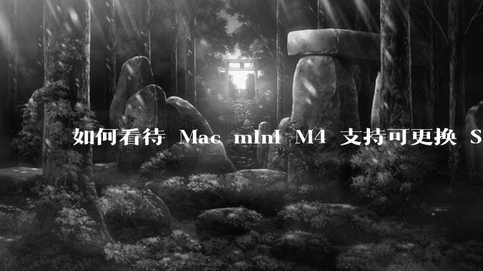 如何看待 Mac mini M4 支持可更换 SSD？