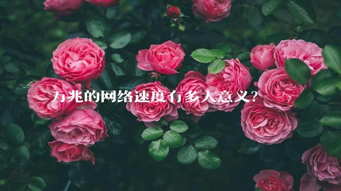 万兆的网络速度有多大意义？