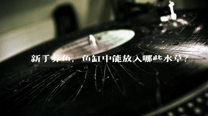 新手养鱼，鱼缸中能放入哪些水草？
