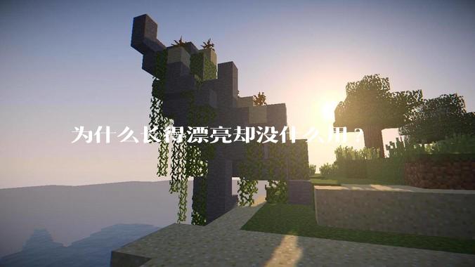 为什么长得漂亮却没什么用?