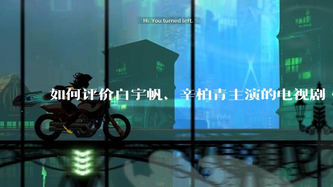 如何评价白宇帆、辛柏青主演的电视剧《护宝寻踪》？
