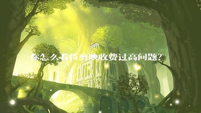 你怎么看待剪映收费过高问题？