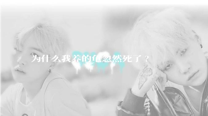 为什么我养的龟忽然死了?